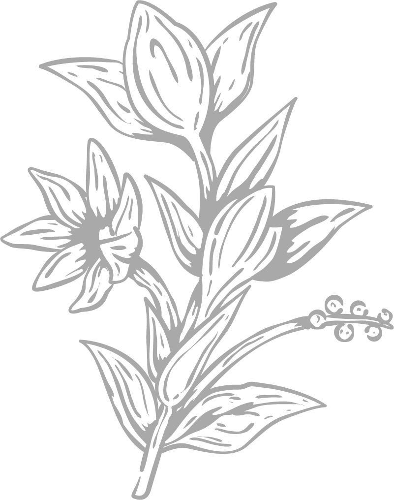 dct et illus img 3