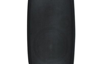 Articole 7 Boxa de perete public adress 30W RMS negru, WS6030B – Fiabilitate și Performanță