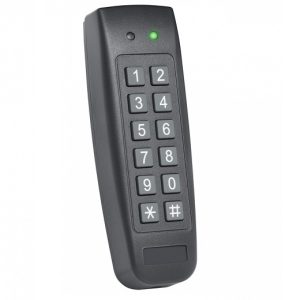 Cititor de proximitate RFID 125KHz Rosslare ACG44