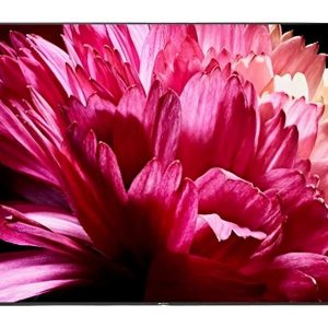 Monitor profesionist 55 inch