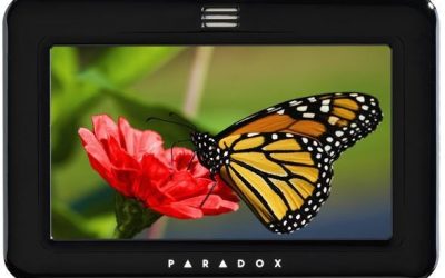 Articole 7 Tastatura Paradox TM50 – Fiabilitate și Performanță